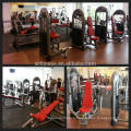 China gym machines supply Triceps extension XR6606